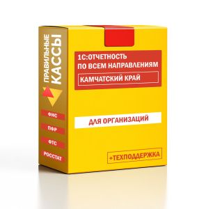 Отчетность_орг_Камчатский край